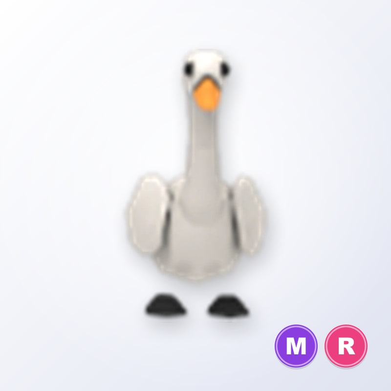 Swan MR | Adopt Me