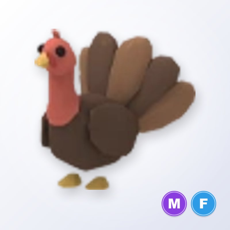 Turkey MF | Adopt Me