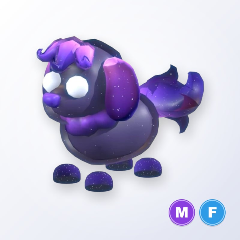 Glormy Hound MF | Adopt Me