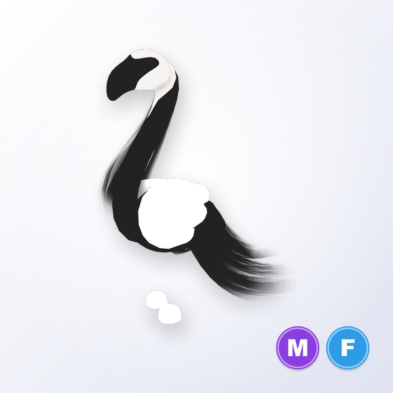 Slimingo MF | Adopt Me