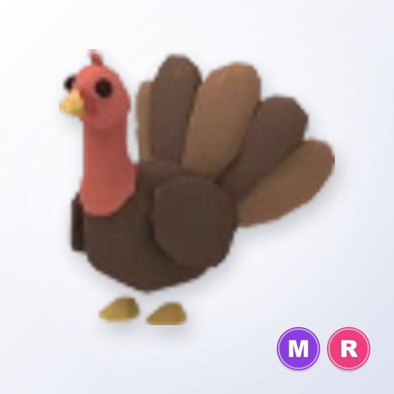Turkey MR | Adopt Me