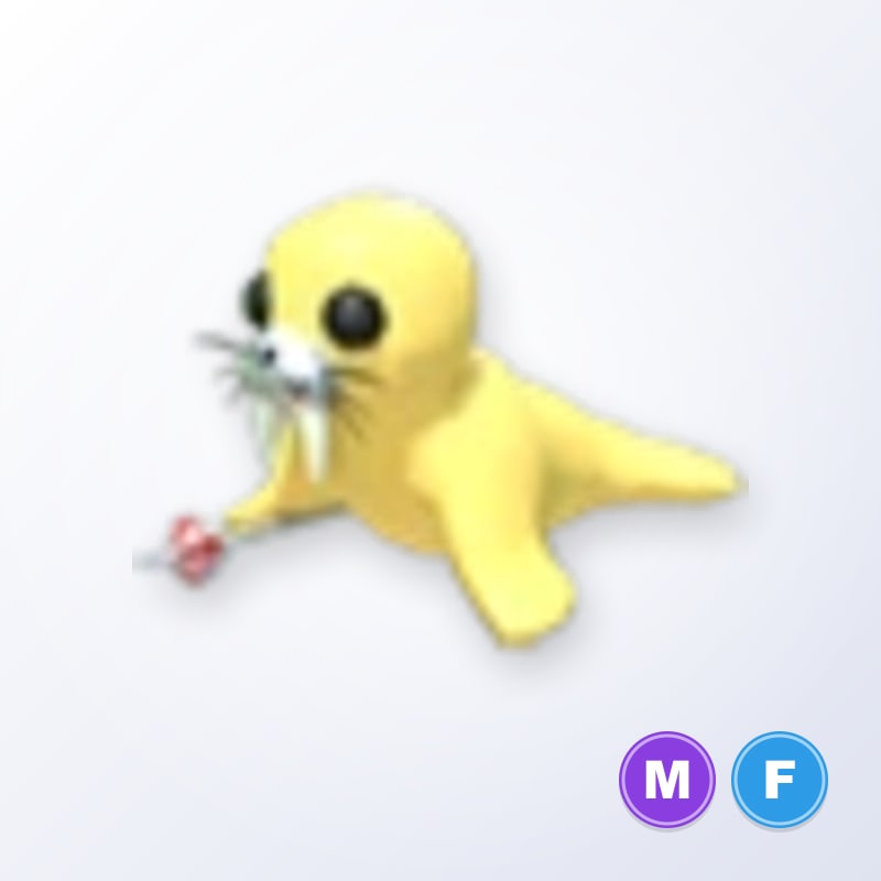 Golden Walrus MF | Adopt Me