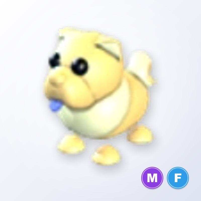Golden Chow-Chow MF | Adopt Me