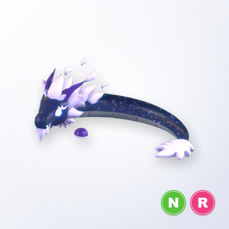Midnight Dragon NR | Adopt Me