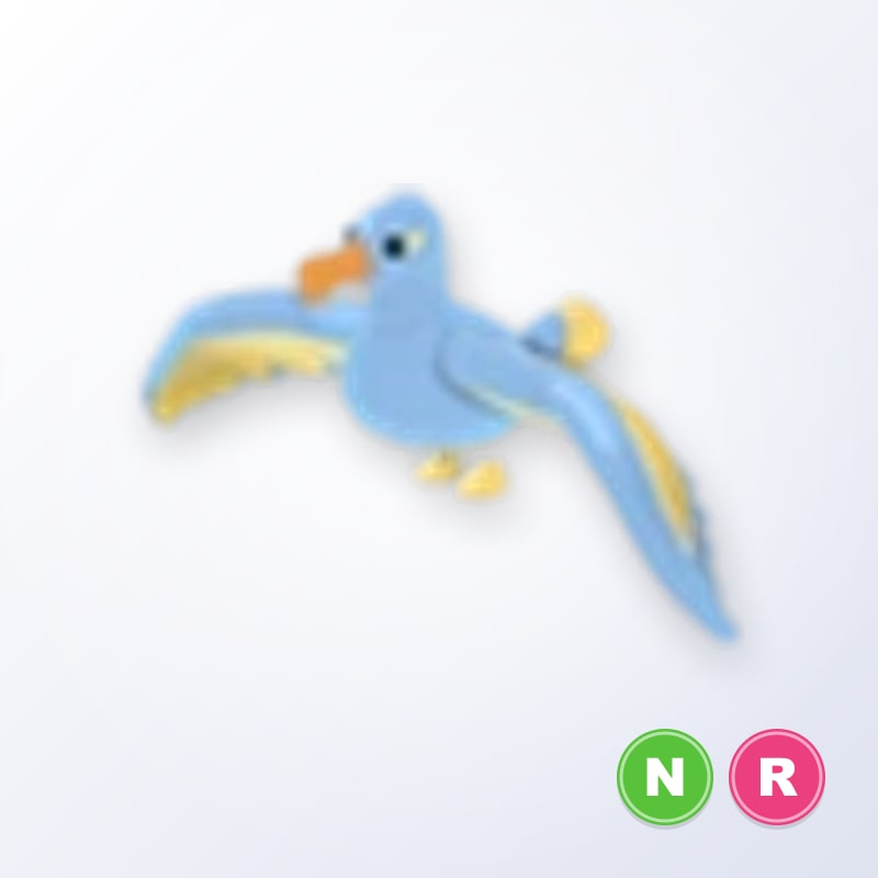 Diamond Albatross NR | Adopt Me