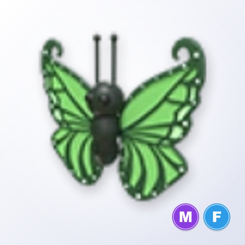 Green Butterfly MF | Adopt Me