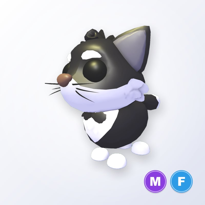 Tuxedo Cat MF | Adopt Me