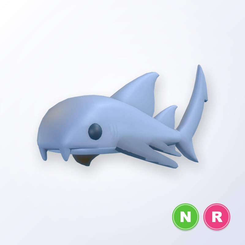 Nurse Shark NR | Adopt Me