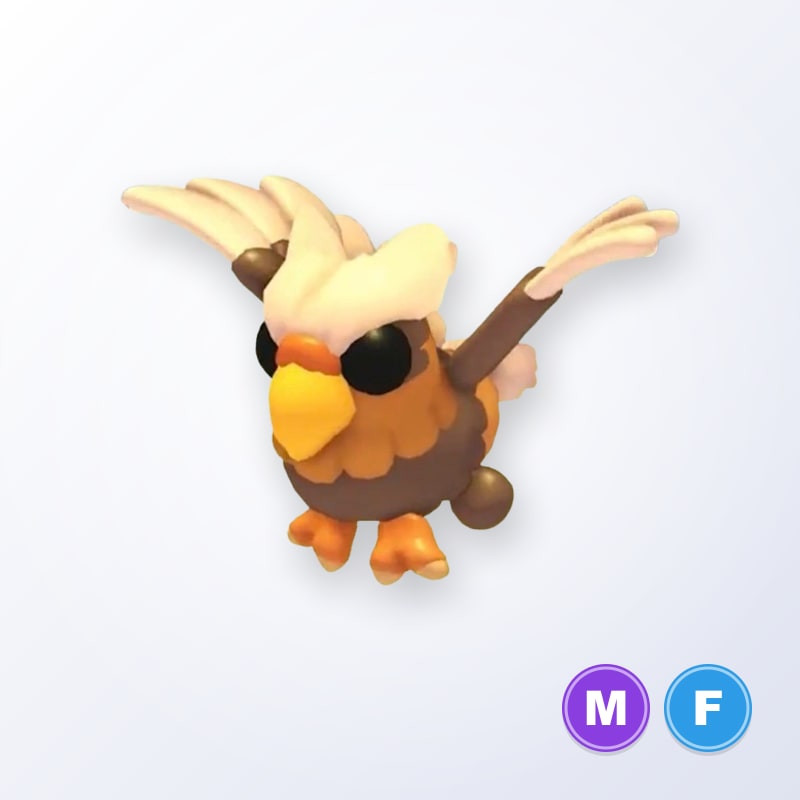 Hippogriff MF | Adopt Me