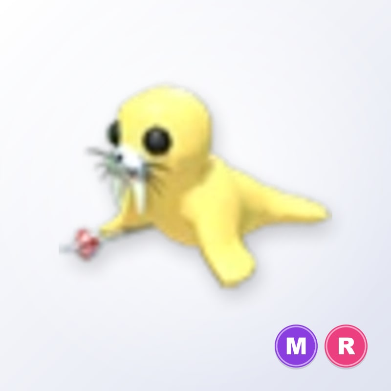 Golden Walrus MR | Adopt Me