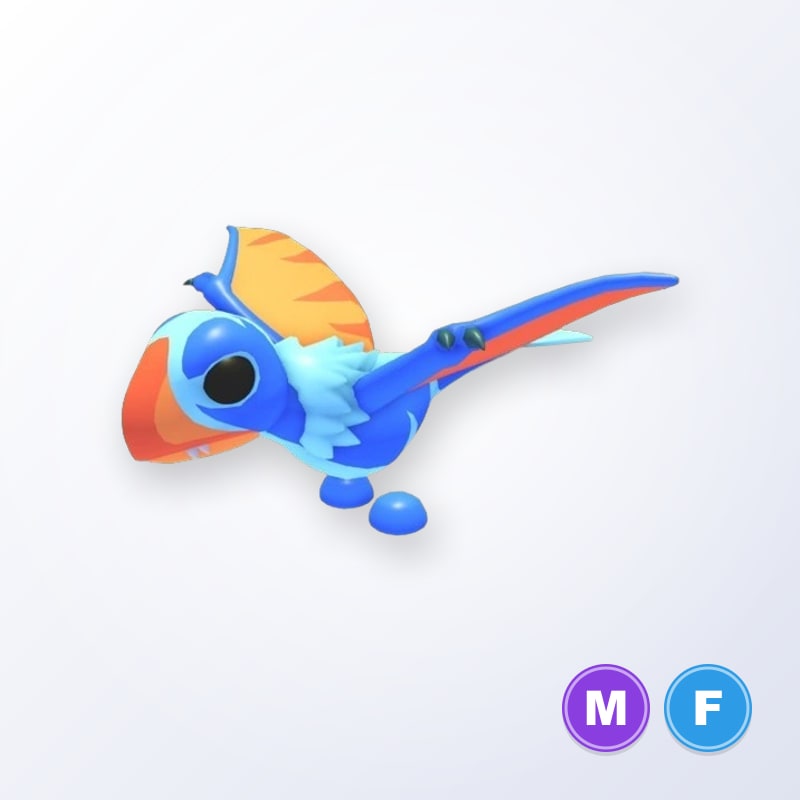 Dimorphodon MF | Adopt Me