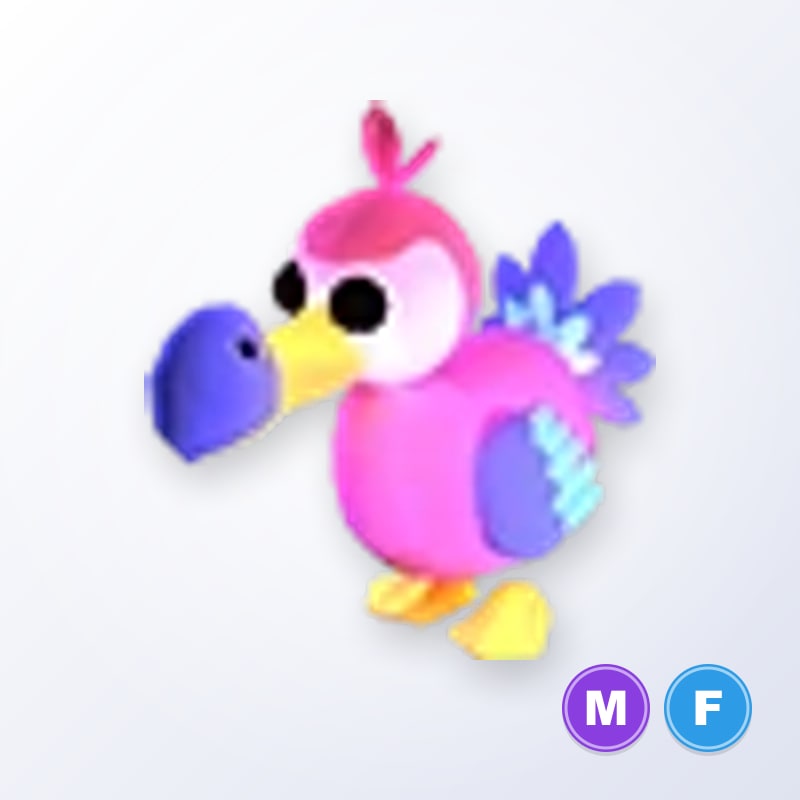 Dodo MF | Adopt Me