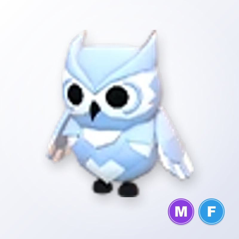 Snow Owl MF | Adopt Me