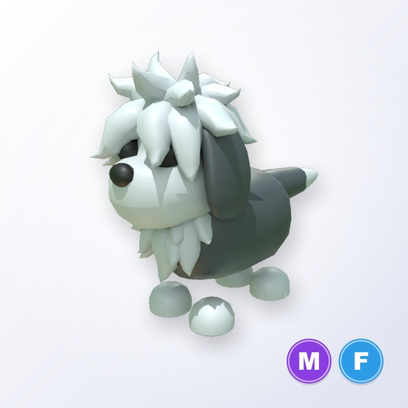 English Sheepdog MF | Adopt Me