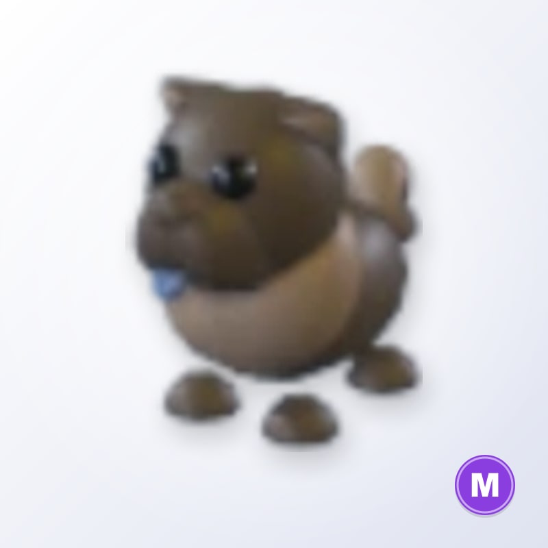 Chocolate Chow-Chow M | Adopt Me