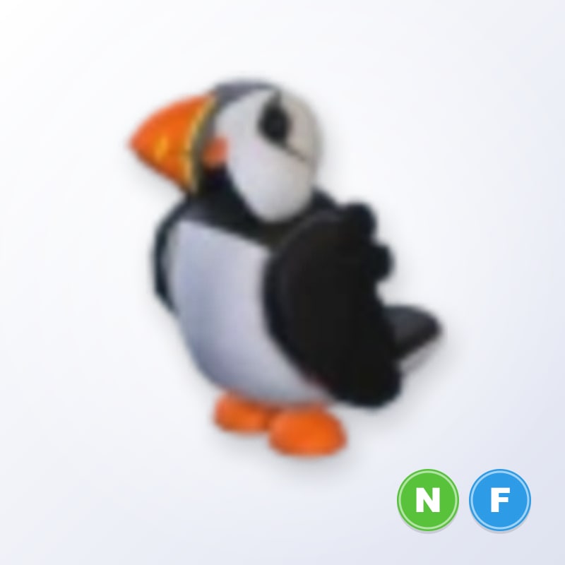 Puffin NF | Adopt Me
