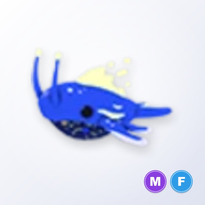 Space Whale MF | Adopt Me