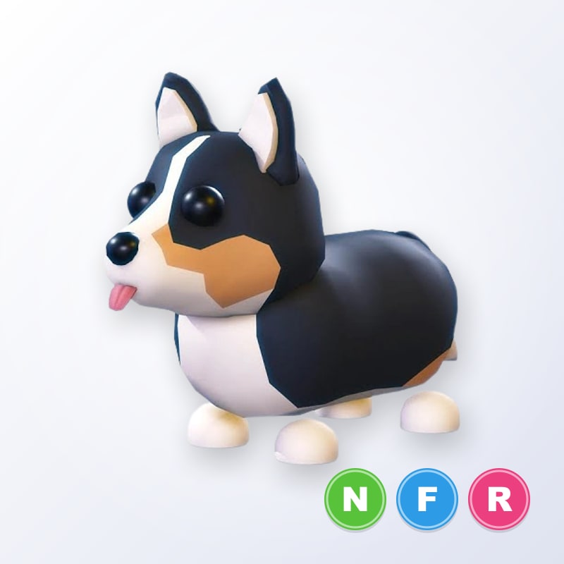 Royal Corgi NFR | Adopt Me
