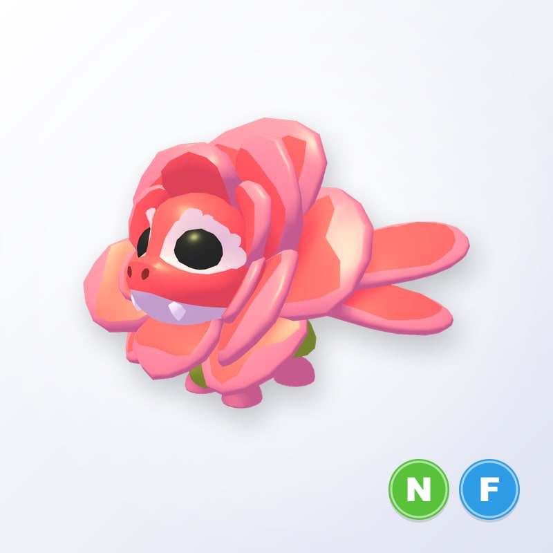 Rose Dragon NF | Adopt Me