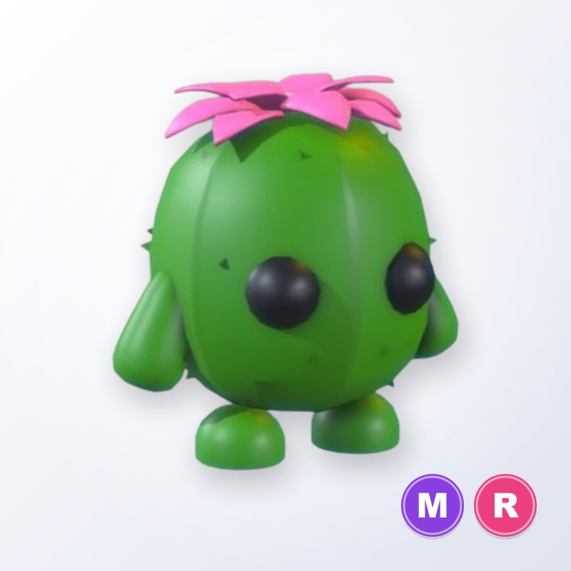 Cactus Friend MR | Adopt Me