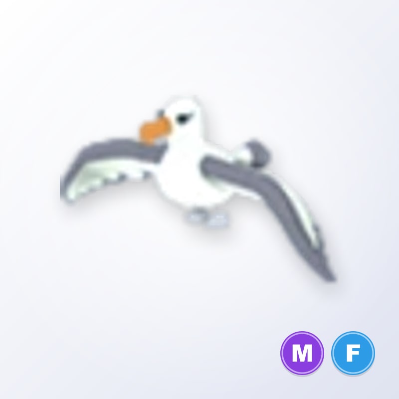 Albatross MF | Adopt Me