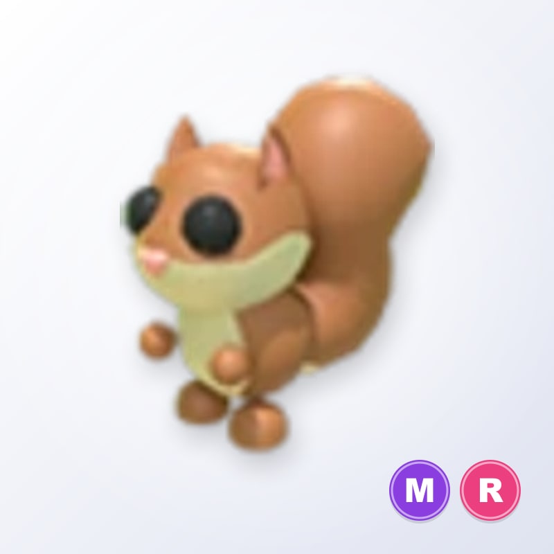 Red Squirrel MR | Adopt Me