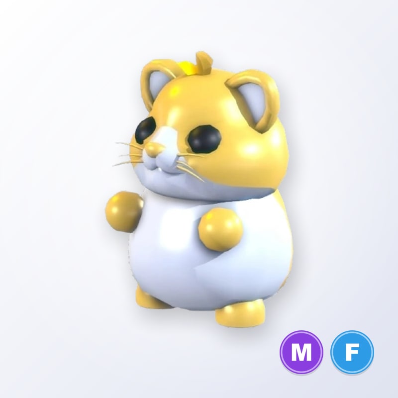 Golden Hamster MF | Adopt Me
