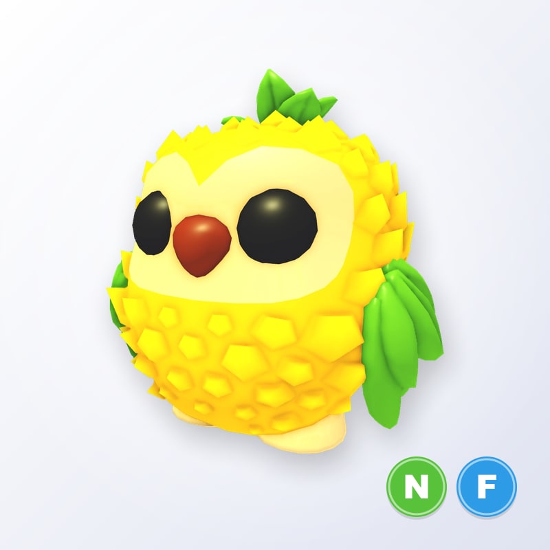 Pineapple Owl NF | Adopt Me