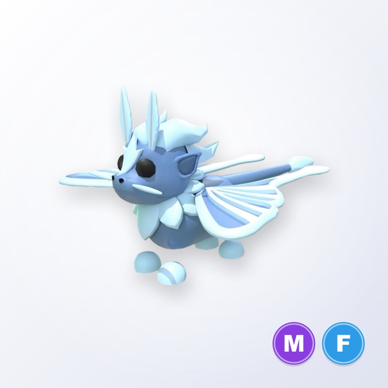 Ice Moth Dragon MF | Adopt Me