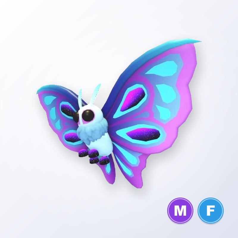 Moonlight Moth MF | Adopt Me