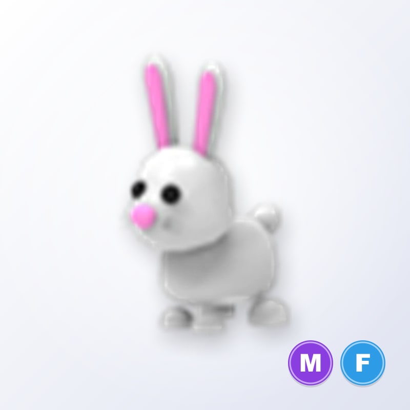 Bunny MF | Adopt Me