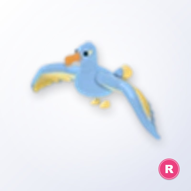 Diamond Albatross R | Adopt Me