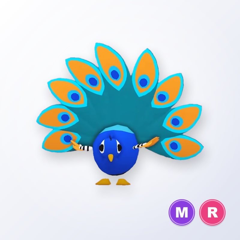 Peacock MR | Adopt Me