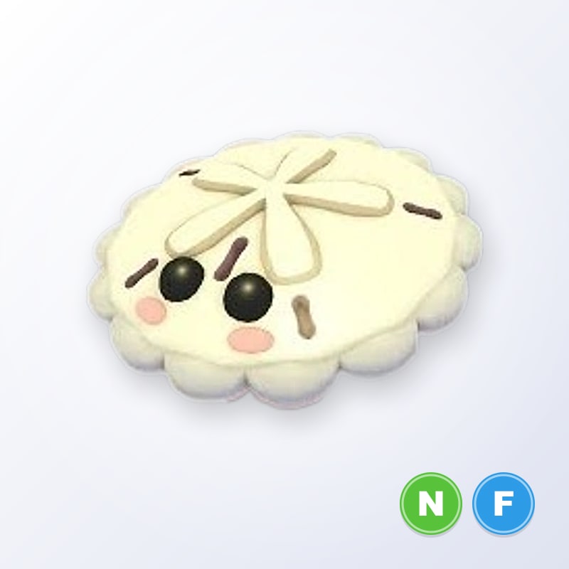 White Sand Dollar NF | Adopt Me