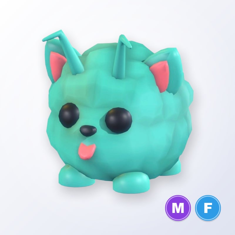 Puptune MF | Adopt Me
