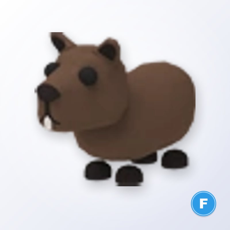 Capybara F | Adopt Me