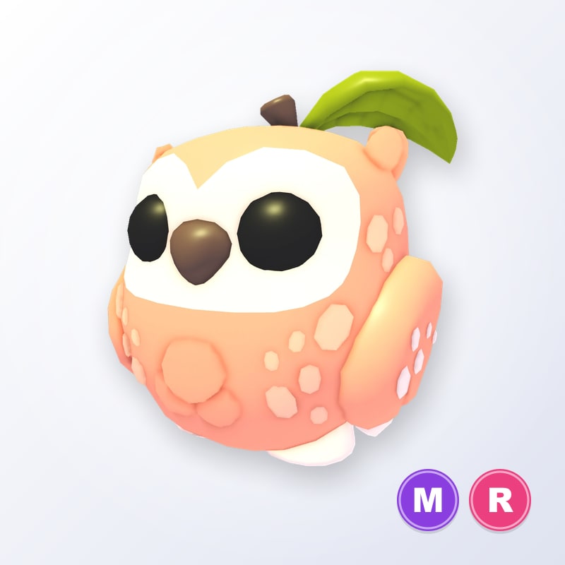 Peach Owl MR | Adopt Me