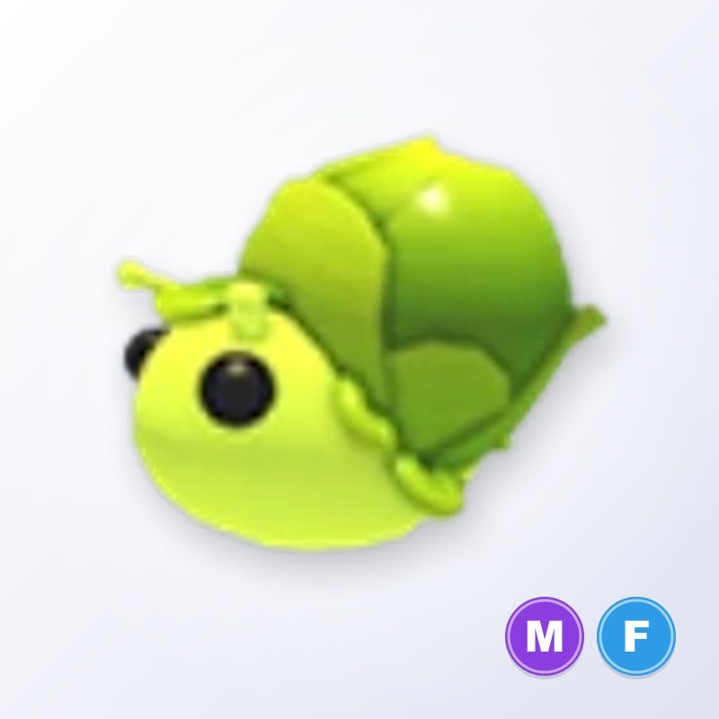 Sprout Snail MF | Adopt Me