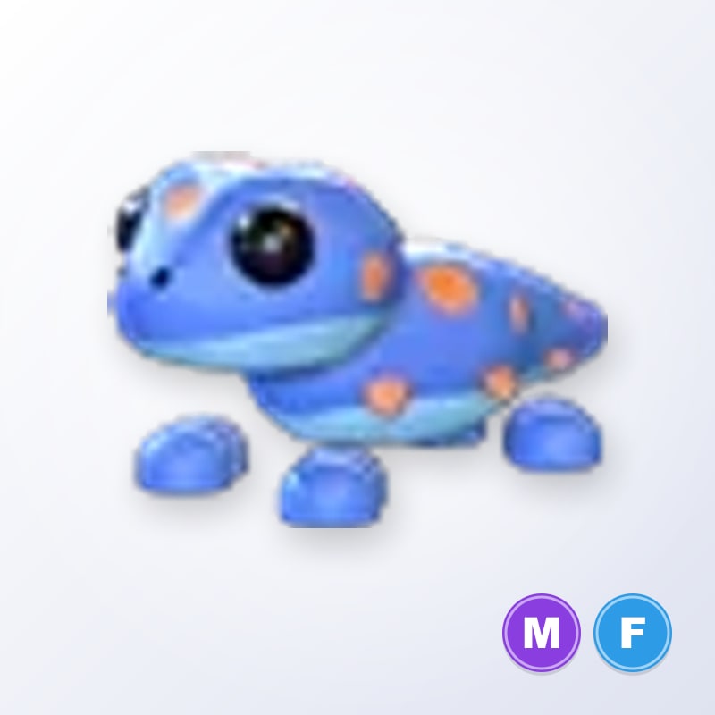 Gecko MF | Adopt Me