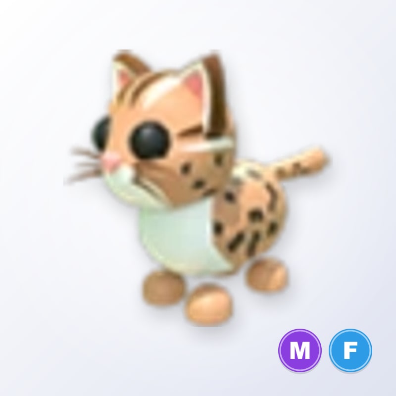 Leopard Cat MF | Adopt Me