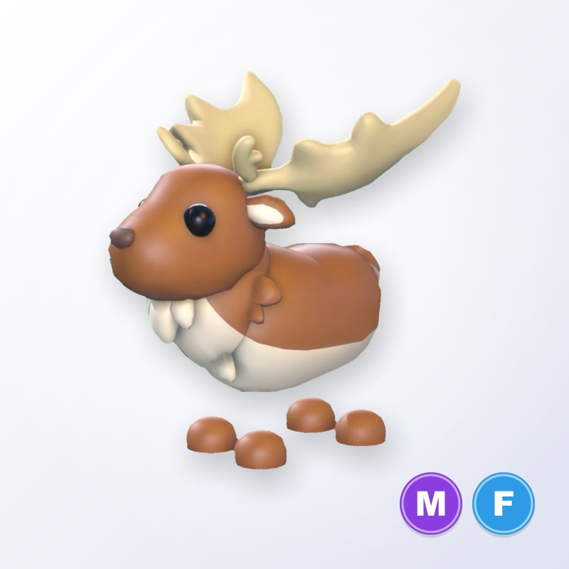 Irish Elk MF | Adopt Me