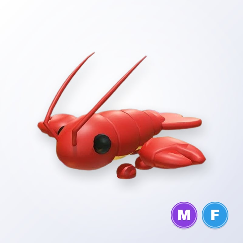 Lobster MF | Adopt Me