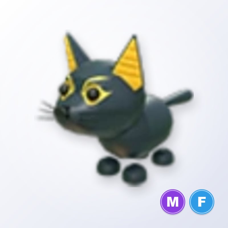 Abyssinian Cat MF | Adopt Me
