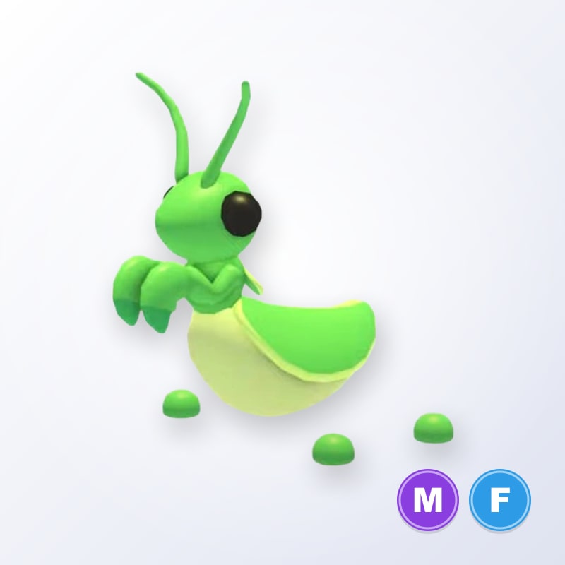 Praying Mantis MF | Adopt Me