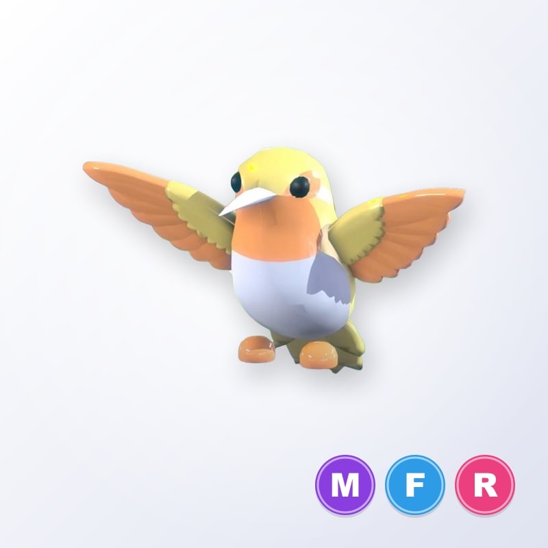 Golden Hummingbird MFR | Adopt Me