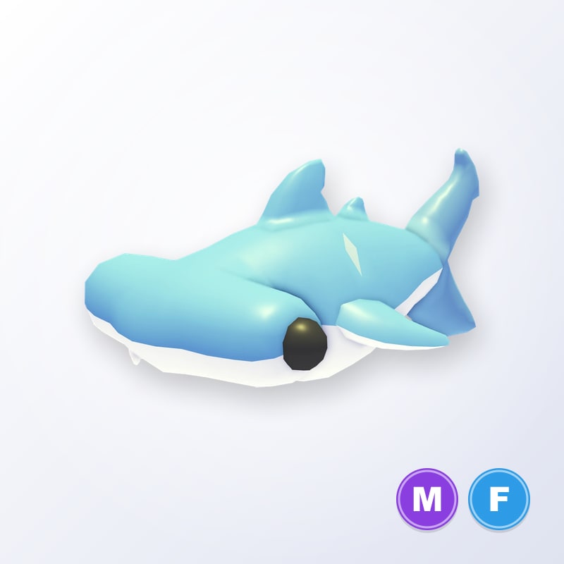 Hammerhead Shark MF | Adopt Me