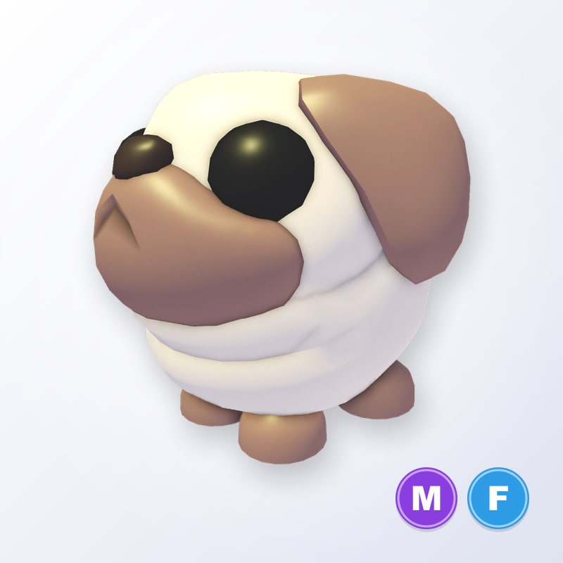 Snowball Pug MF | Adopt Me