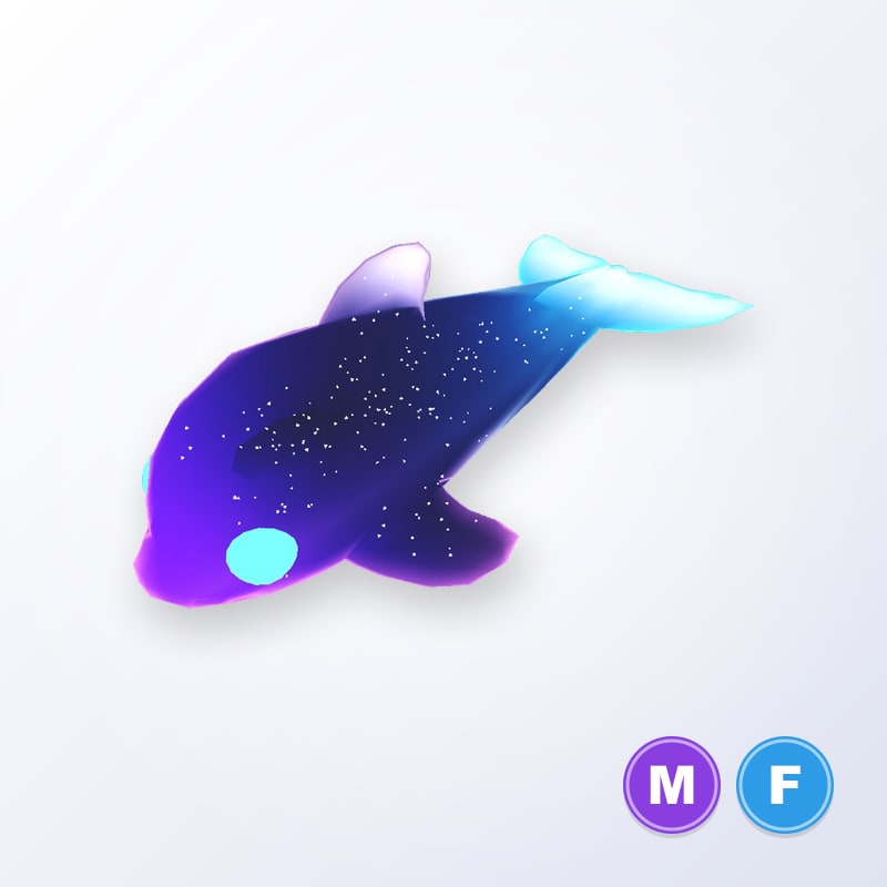 Glormy Dolphin MF | Adopt Me