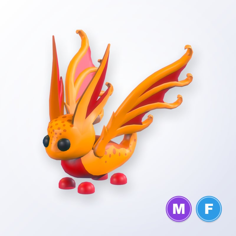 Sunglider MF | Adopt Me