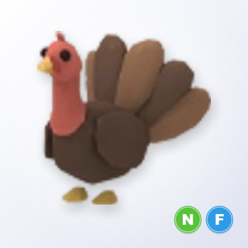 Turkey NF | Adopt Me